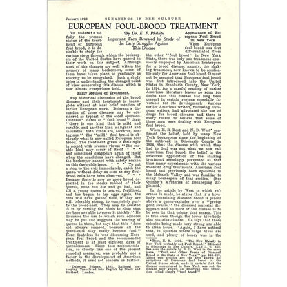 European Foul-Blood Treatment Dr. E.F. Philips Beekeeping 1926 Article AG3-9