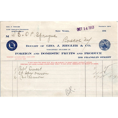 Geo. J. Ziegler & Co. Roscoe NY 1913 Original Billhead Letterhead Receipt D8-LL