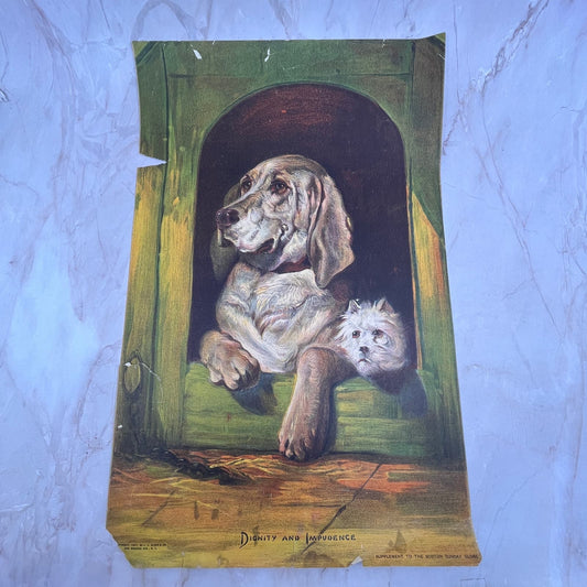 1907 Dignity and Impudence Sir Edwin Landseer Art Print Lithograph 11x17 FL6-4