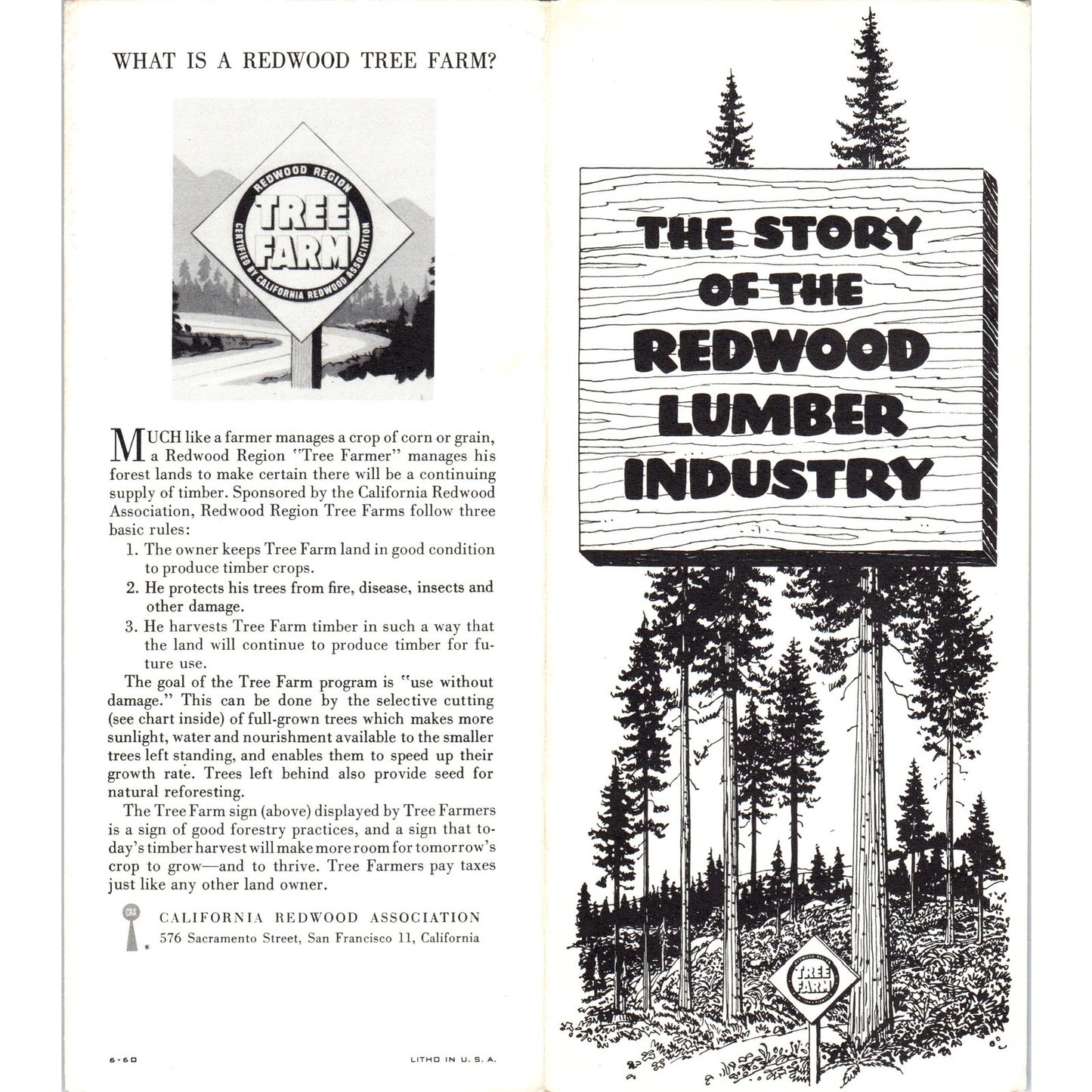 1960 The Story of the Redwood Lumber Industry California Travel Brochure TH9-CB