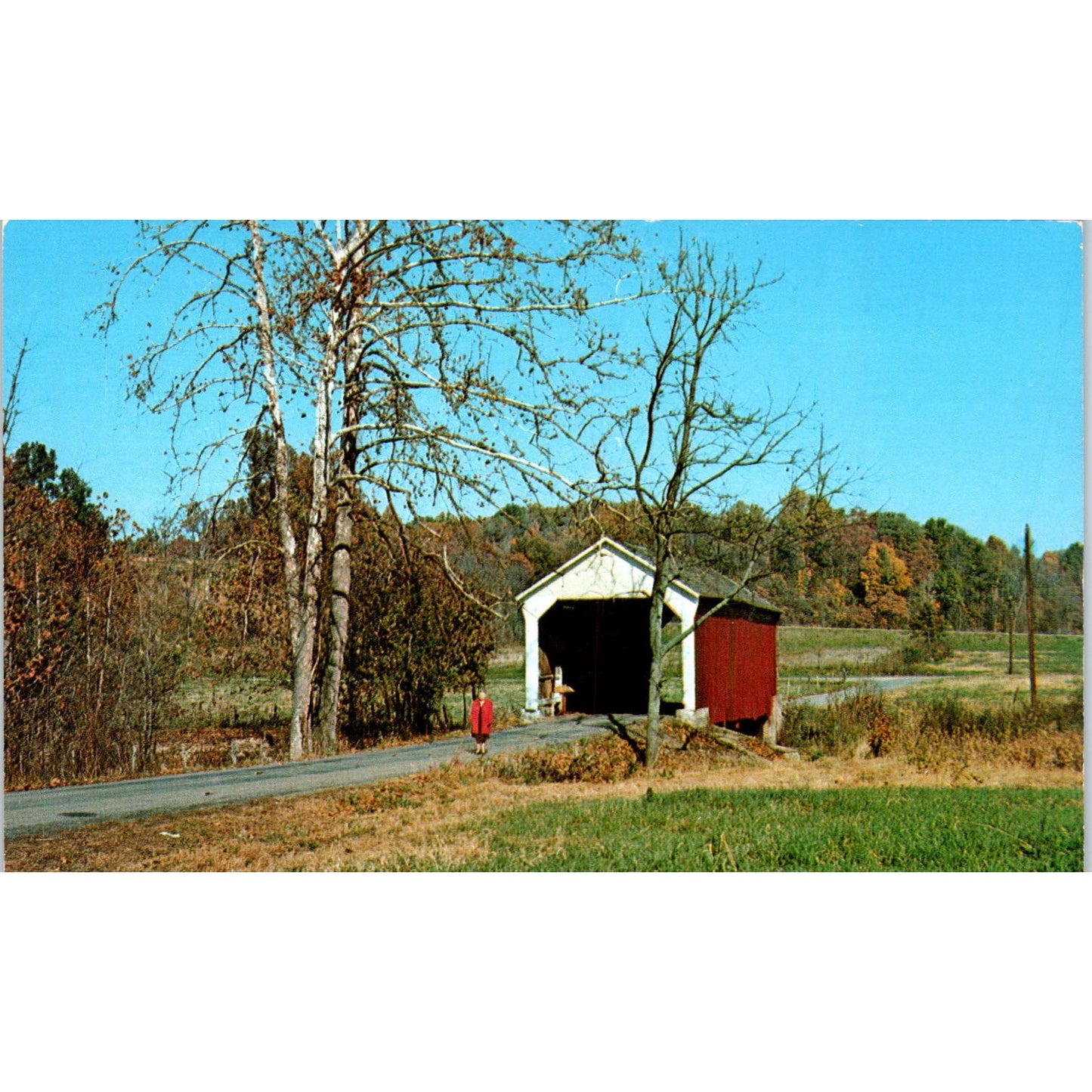 Parke County Indiana #22 Phillips Bridge Covered Bridge Postcard PC6