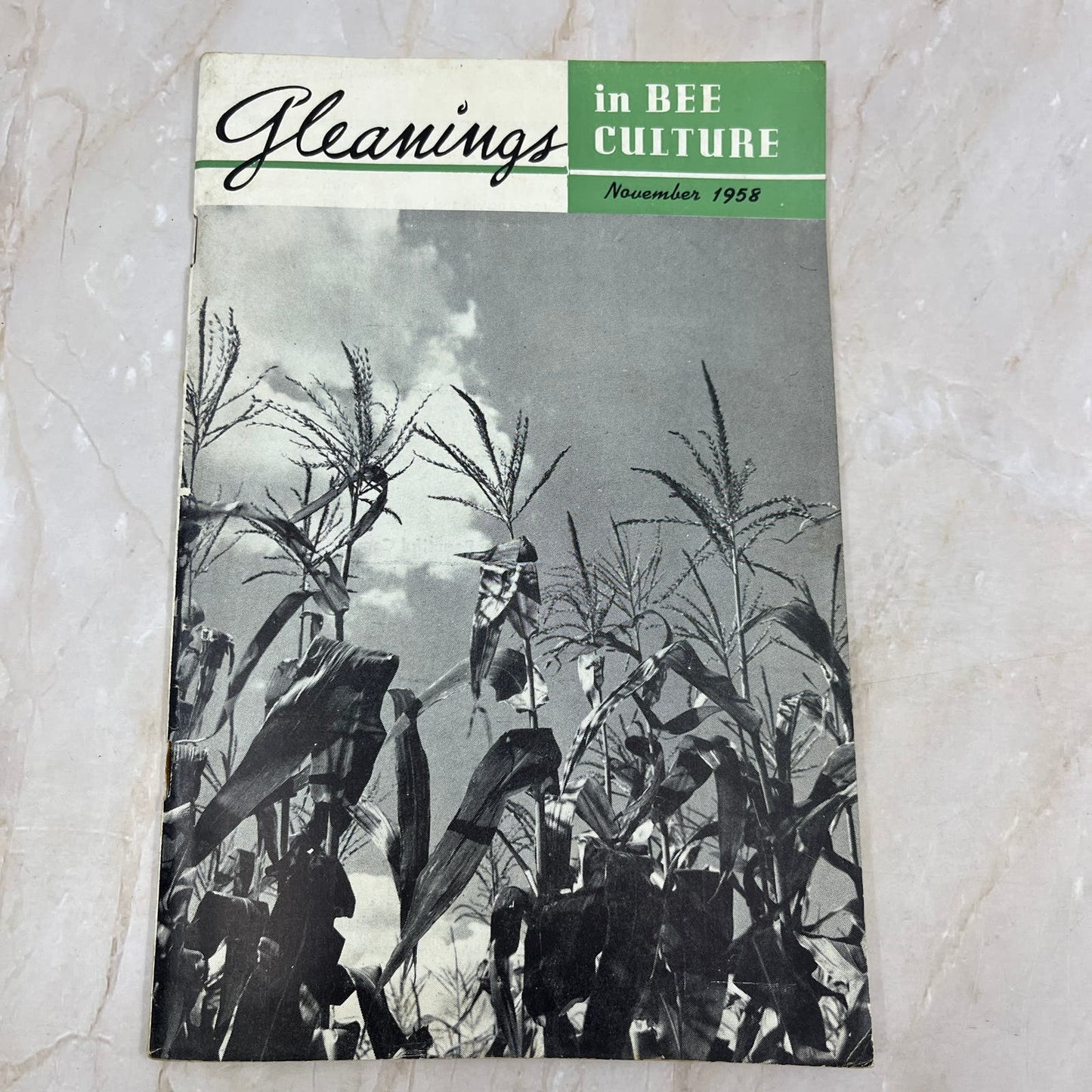 1958 Nov Gleanings in Bee Culture Beekeeping Magazine A.I. Root Co Medina OH TD5