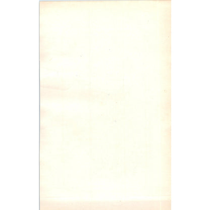 Common Wren Bird 1903 Original Color Engraving Plate Print AD8-B3