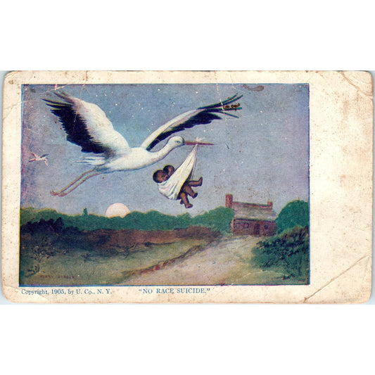 Twin African American Babies with Stork 1905 Antique Postcard PD4