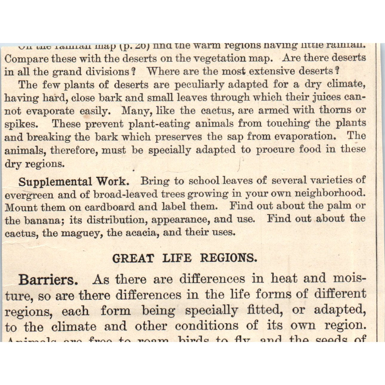 Animals South America Armadillo Llama Condor Sloth Tapir 1901 Engraving AF2-A6