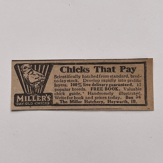 The Miller Hatchery Day Old Chicks Heyworth Illinois 1926 Ad AG3-S1