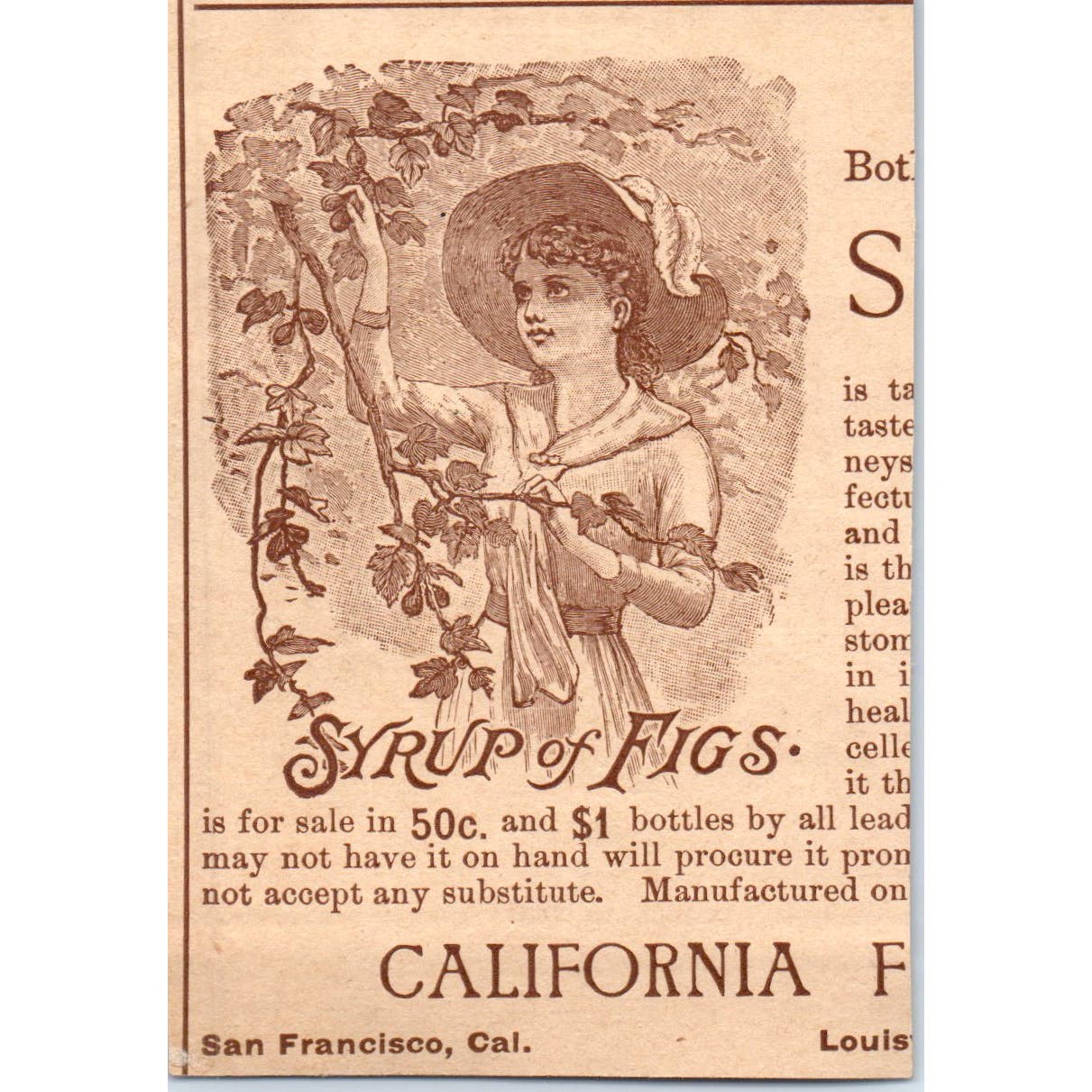 W. Baker & Co's Breakfast Cocoa Dorchester MA c1890 Victorian Ad AE8-CH8