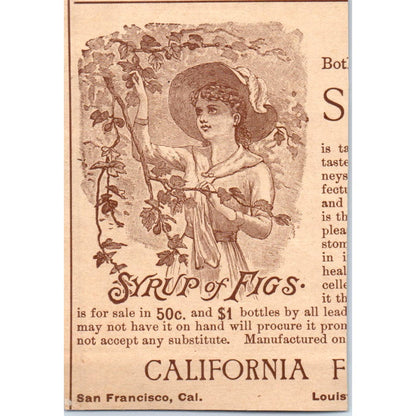 W. Baker & Co's Breakfast Cocoa Dorchester MA c1890 Victorian Ad AE8-CH8