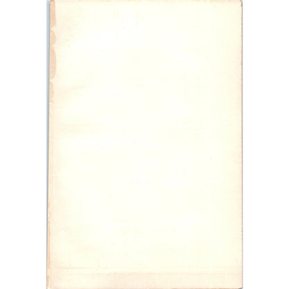 The Summer Palace China 1901 Original Print AD8-H9