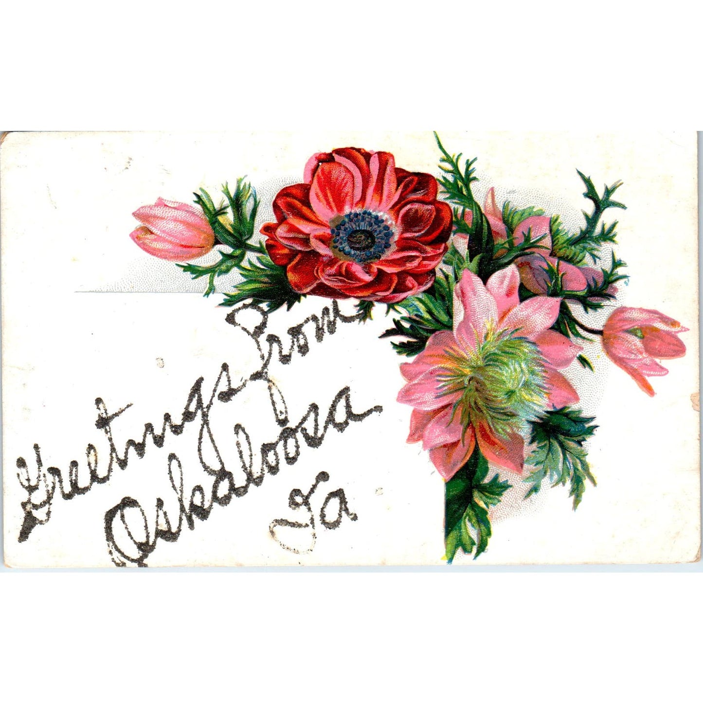 1908 Greetings from Oskaloosa Iowa Postcard PD3