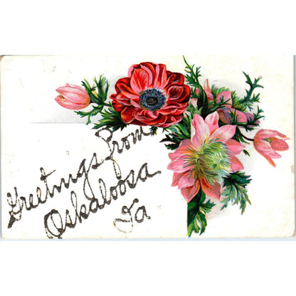 1908 Greetings from Oskaloosa Iowa Postcard PD3
