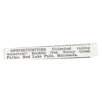 Raise Waterfowl - Sunny Creek Farms, Red Lake Falls MN 1955 Ad AG1-S8