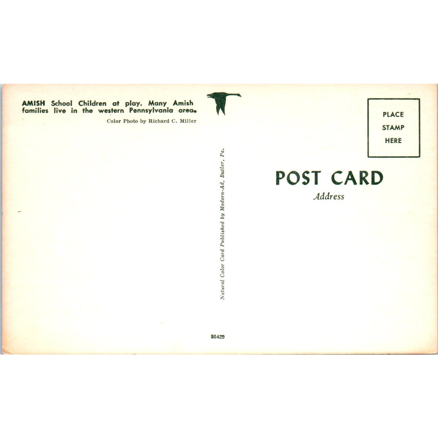 Amish School Children at Play PA Dutch Vintage Postcard PD4