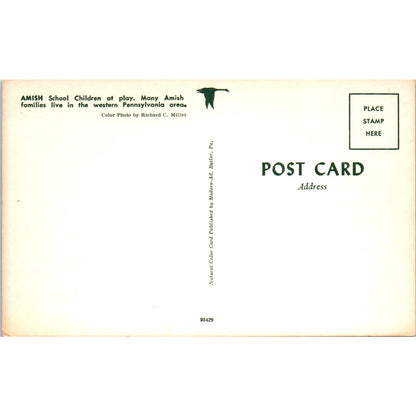 Amish School Children at Play PA Dutch Vintage Postcard PD4