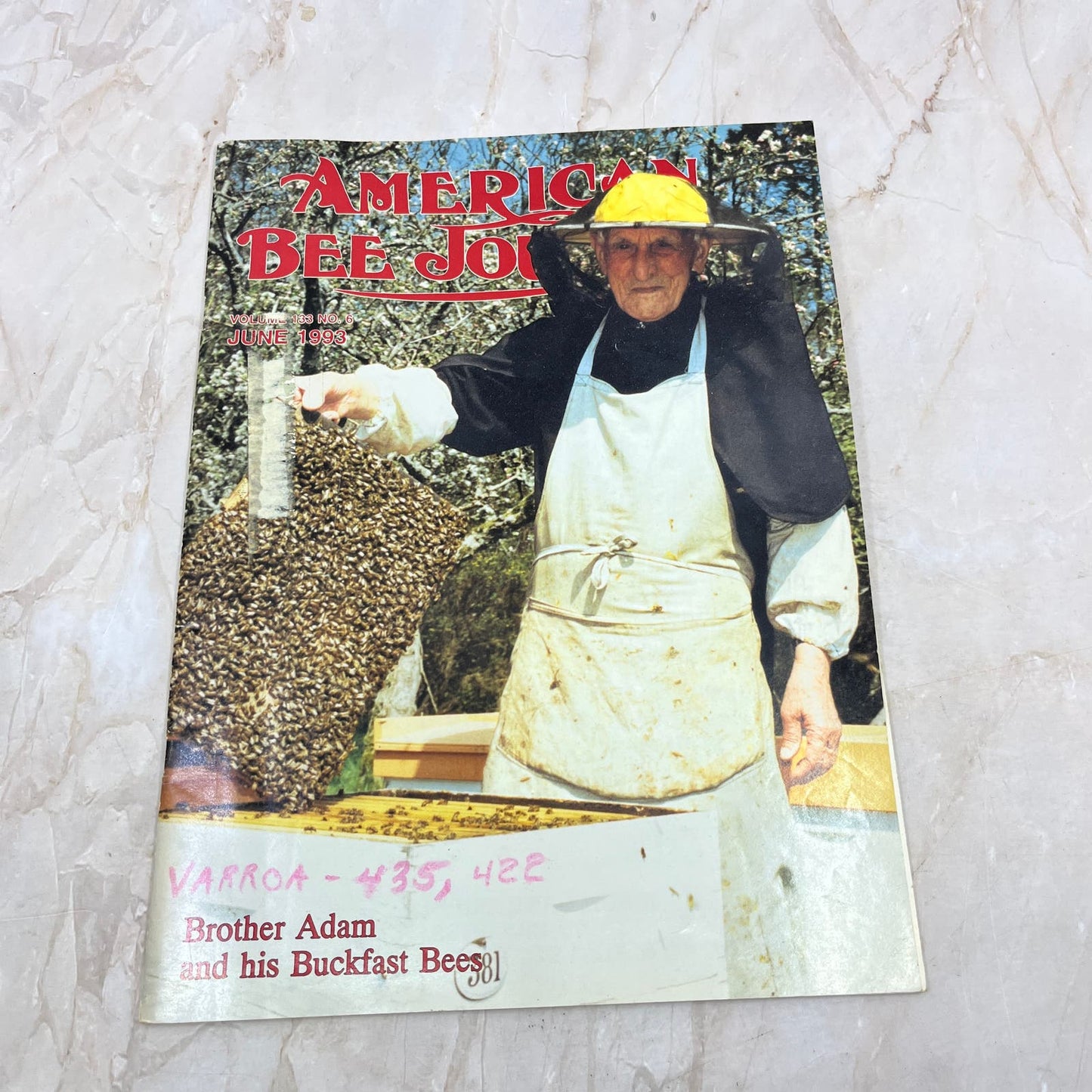 1993 June American Bee Journal Magazine Bees Beekeeping Honey M8