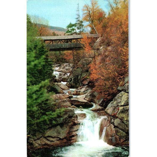 Pool & Sentinel Pine Bridge Franconia Notch NH Covered Bridge Postcard PB12