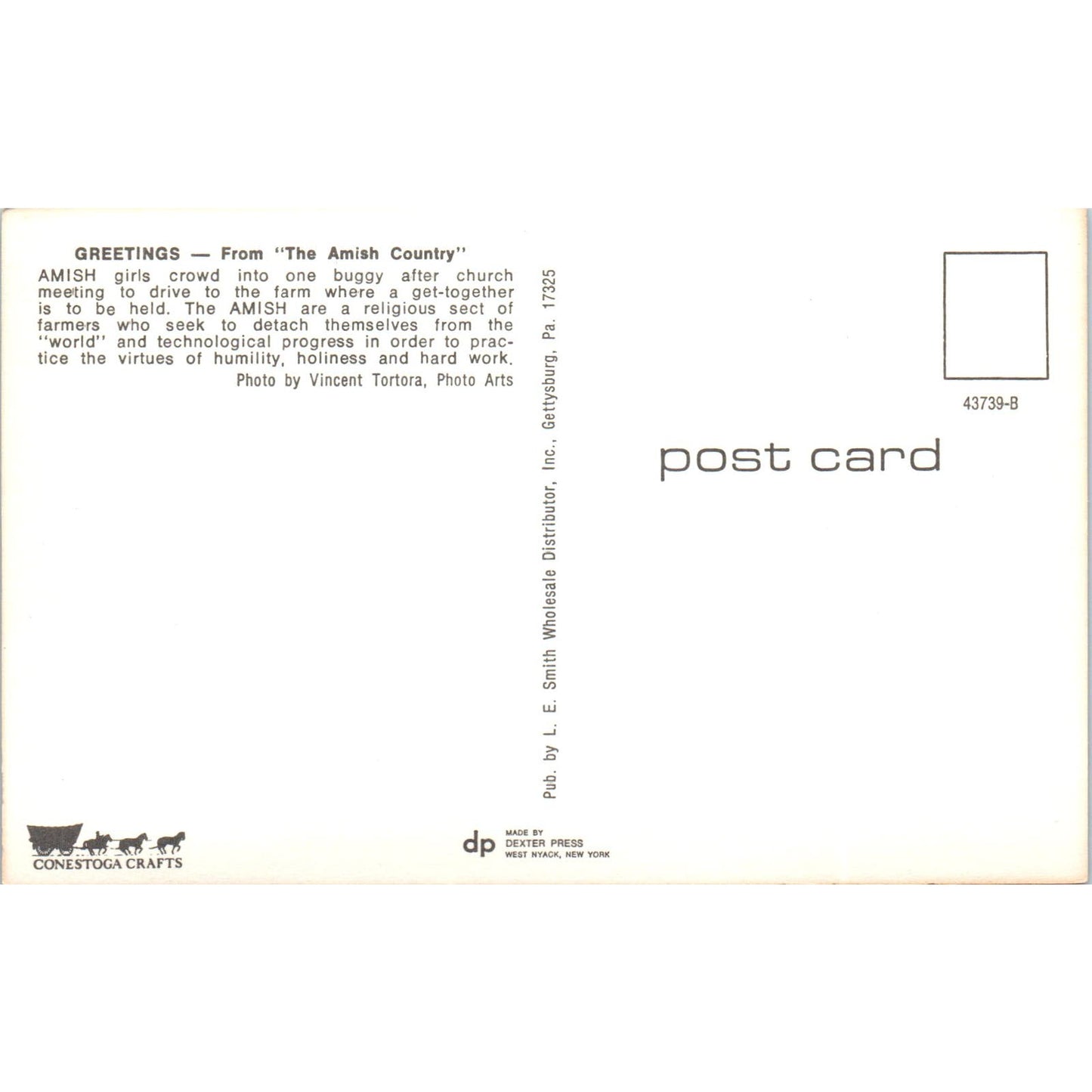 Amish Girls in Buggy After Church Meeting PA Dutch Country Vintage Postcard TG8