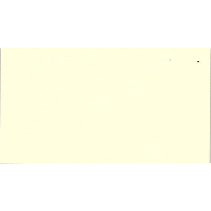 Mary Perran The Carpet Outlet Houston Vintage Business Card SC9-B11