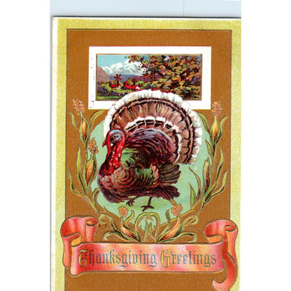 1918 Thanksgiving Turkey John Winsch Back Original Postcard PC9