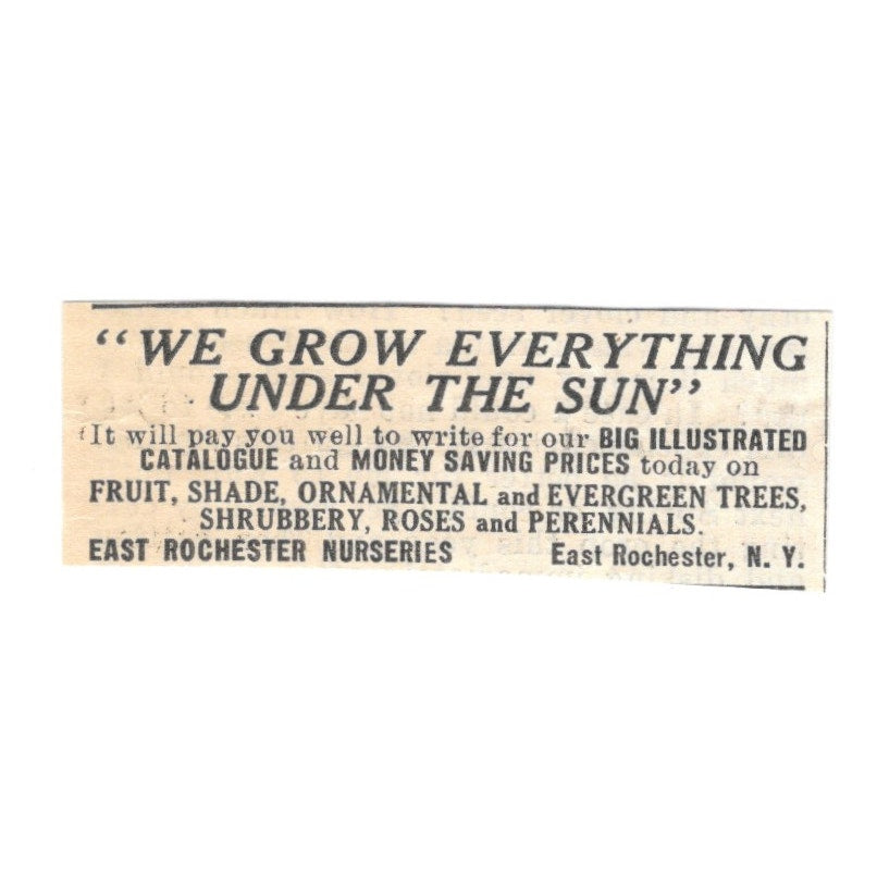 East Rochester Nurseries Fruit Trees, Roses, East Rochester NY 1924 Ad AG3-S2