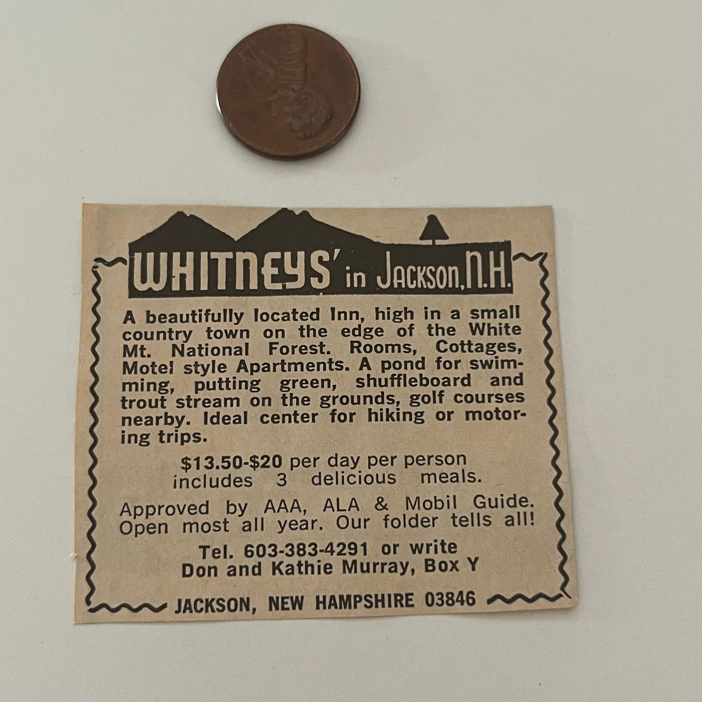 Whitney's Don and Kathie Murray Jackson NH 1971 Magazine Ad SAG4-S14