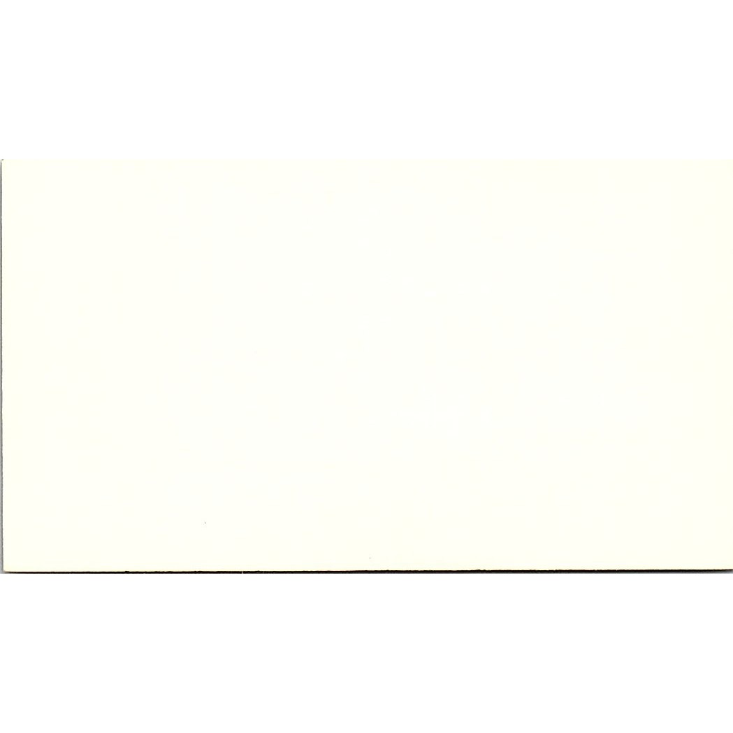 Michelle B Johnson Arthur Andersen & Co CPA Houston Vintage Business Card SD9-B1