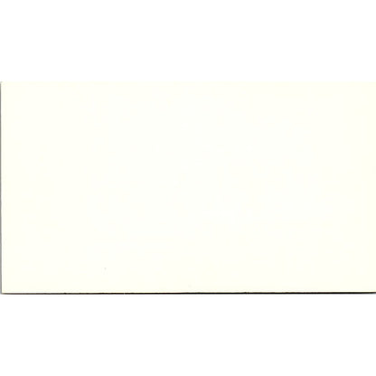 Michelle B Johnson Arthur Andersen & Co CPA Houston Vintage Business Card SD9-B1