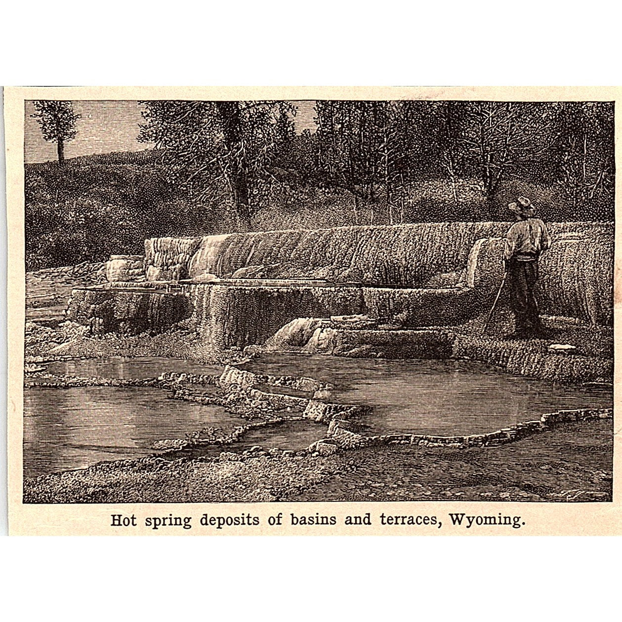 Hot Spring Deposits of Basins and Terraces WY 3x4" 1901 Engraving AF6-M11