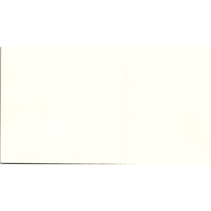 Southeastern Marine Surveying Co. David Scott Savannah GA Business Card SSB4-B13