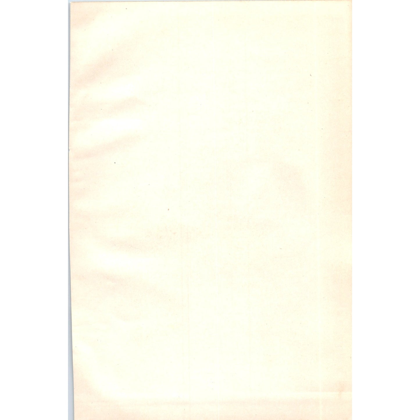 Ring Ouzel Bird 1903 Original Color Engraving Plate Print AD8-B5