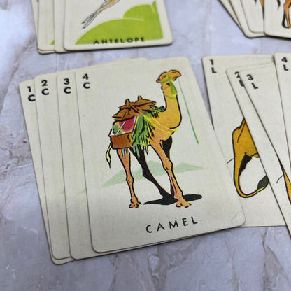 Vintage Whitman Publishing Rummy Card Game w/ Animal Cards TI9