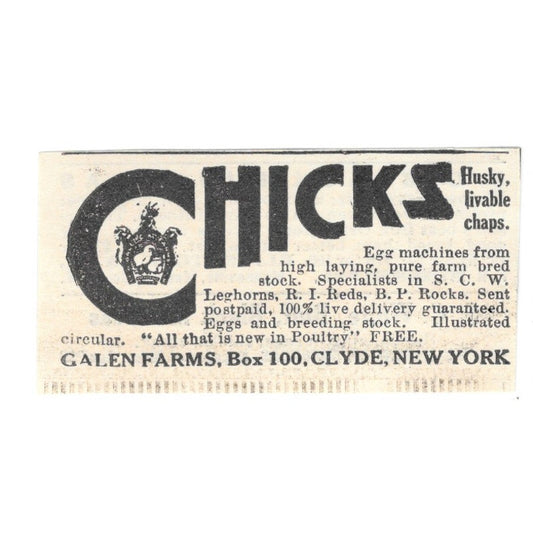 Galen Farms Chicks Clyde NY 1924 Ad AG3-S4