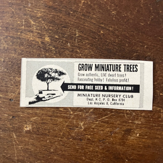 Grow Miniature Trees - Miniature Nursery Club Los Angeles CA 1955 Ad AF9-S9