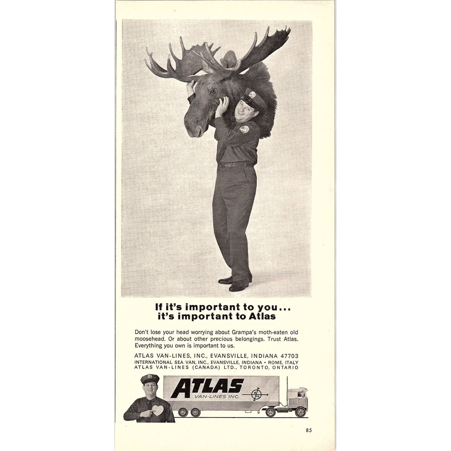 Carrying Moose Head - Atlas Van Lines Evansville Indiana 1967 Ad AG1-16
