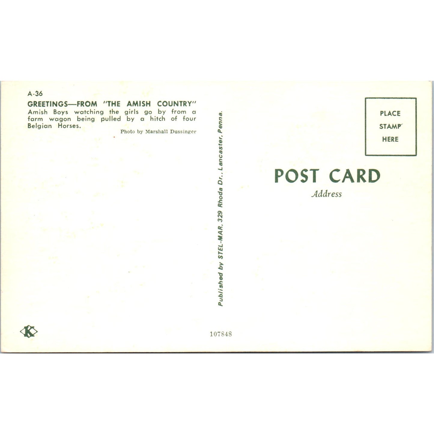 Amish Boys Watching Girls on Buggy Pennsylvania Dutch Country Postcard PD7