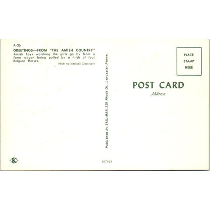 Amish Boys Watching Girls on Buggy Pennsylvania Dutch Country Postcard PD7