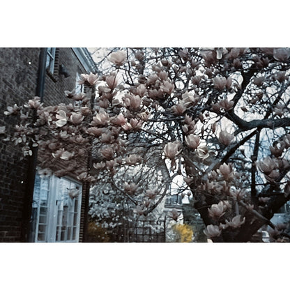 1984 Lot of Slides Rehoboth Delaware Cottage Home TJ5