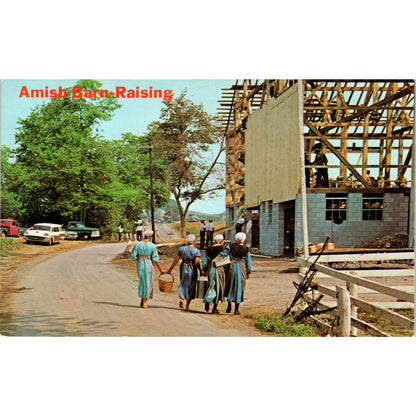 Amish Barn Raising Group Gets Refreshments Pennsylvania Dutch Postcard PD7