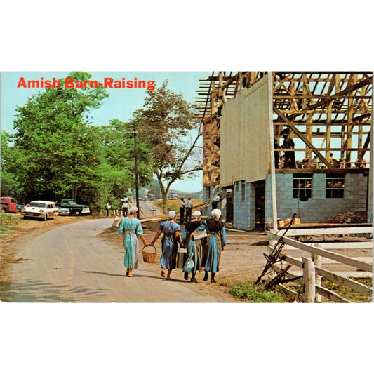 Amish Barn Raising Group Gets Refreshments Pennsylvania Dutch Postcard PD7
