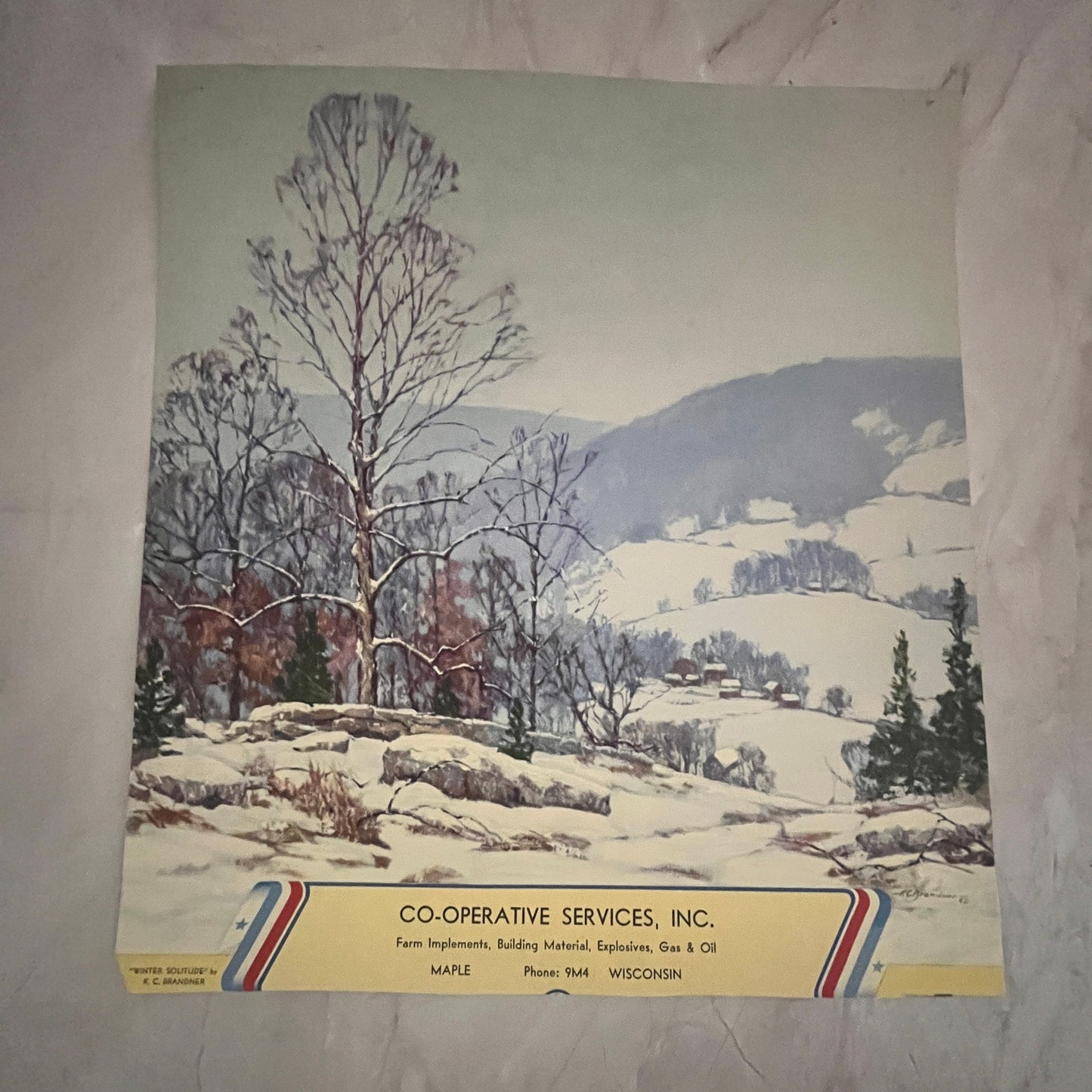 Co-Operative Services Maple WI Winter Solitude KC Brandner 13x14" Art Print FL1