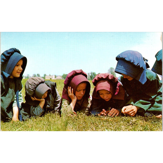 Amish Girls Play in Grass During School Recess Pennsylvania Amish Country P9-5