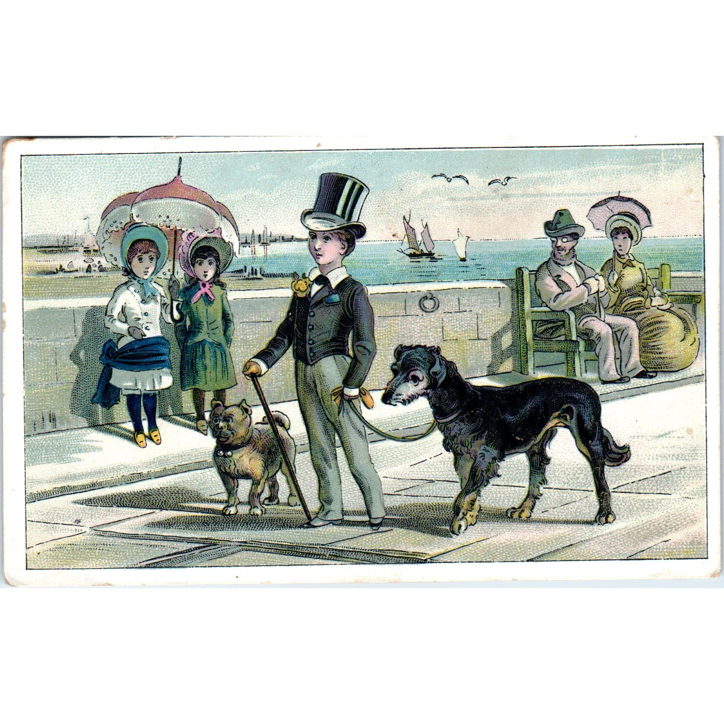 Man in Top Hat With Bulldog and Schnauzer Dog c1880 Victorian Trade Card AE2