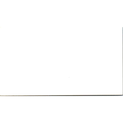 Emile Wagner Annin & Masoneilan Control Houston Vintage Business Card SE3-B10