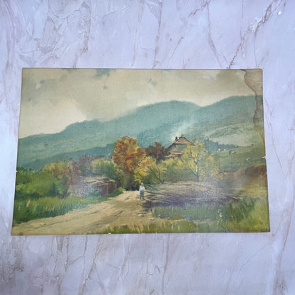 S.de Niederhausern European Alps Landscape Vtg Art Print Lithograph 10x15 FL6-3