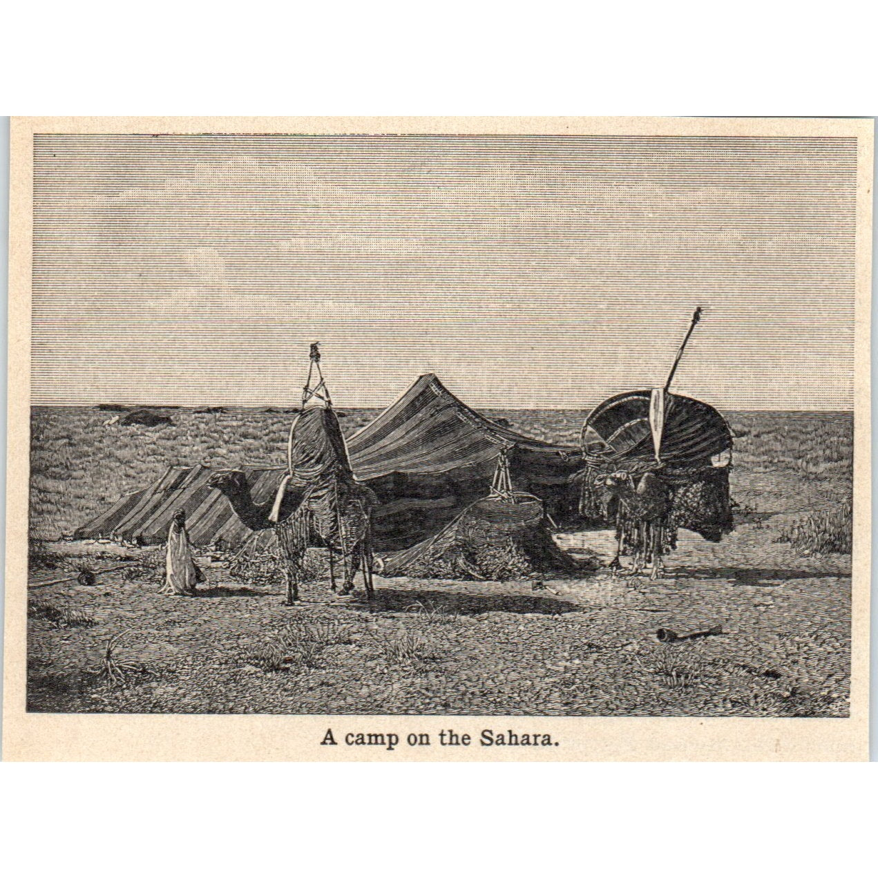 A Camp on the Sahara 1901 Engraving AF2-A6