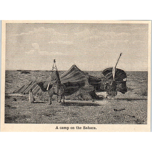 A Camp on the Sahara 1901 Engraving AF2-A6