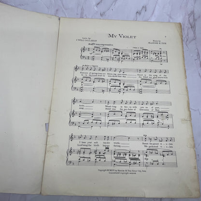 My Violet J.W. Callahan Blanche M Tice 1916 Sheet Music V15