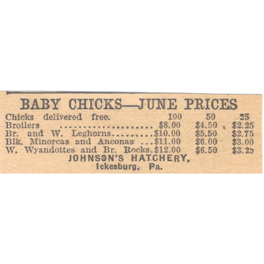 Johnson's Hatchery Baby Chick Prices Ickesburg PA 1922 Magazine Ad AF2-T7