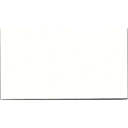 Panda Bear Paper Crafts Silene Walters Rochelle IL Vintage Business Card SC9-B9