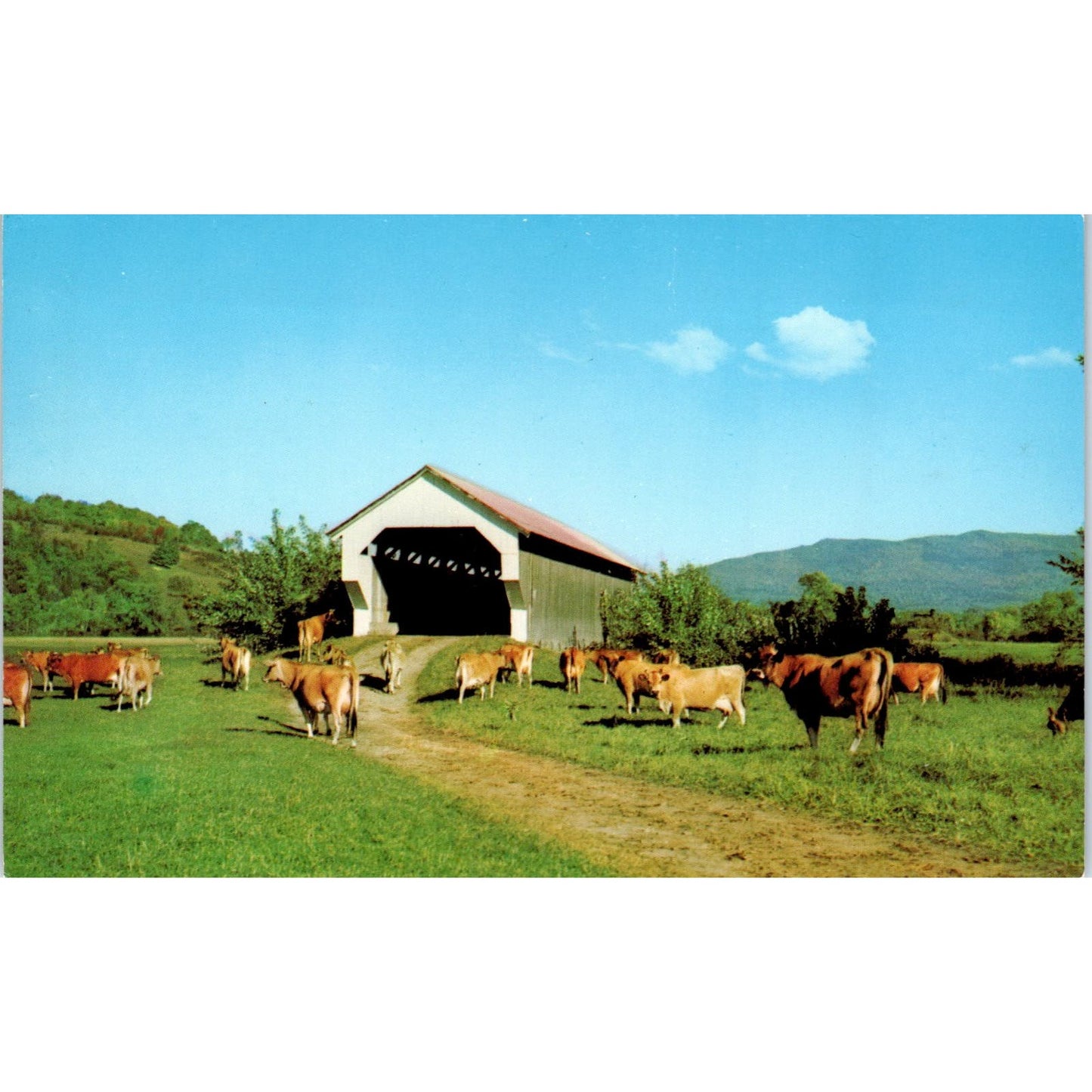 E. Gates Farm Bridge Cambridge VT Vintage Covered Bridge Postcard PC12